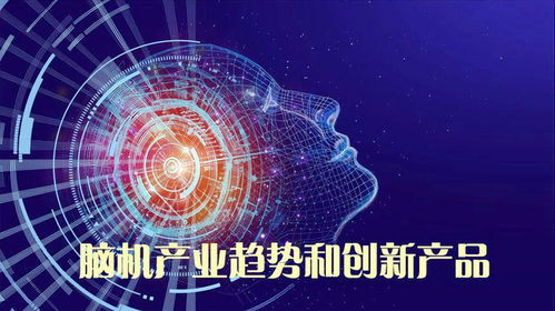 腦機接口 產業現狀、未來趨勢與創新產品探索——以腦虎科技為例